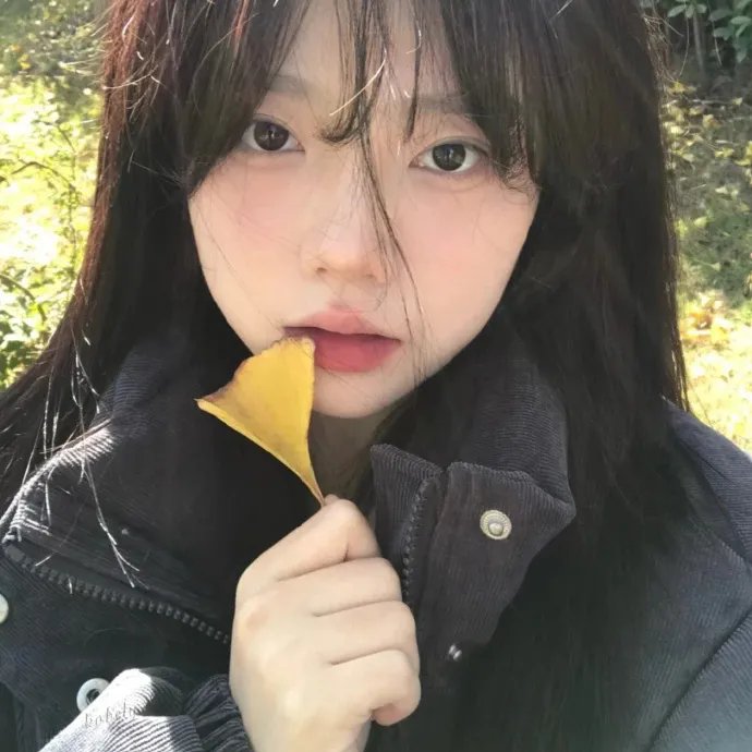 一页的恋爱